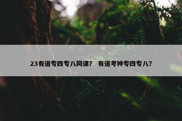 23有道专四专八网课？ 有道考神专四专八？