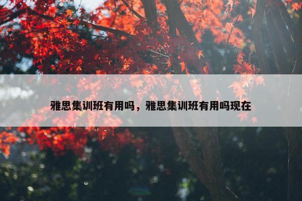 雅思集训班有用吗，雅思集训班有用吗现在
