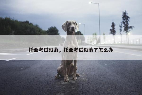 托业考试没落，托业考试没落了怎么办