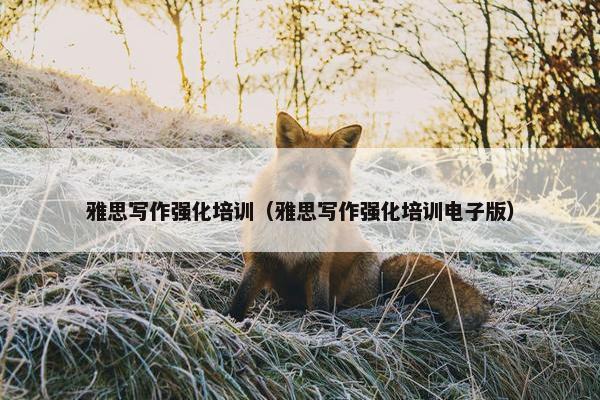 雅思写作强化培训（雅思写作强化培训电子版）