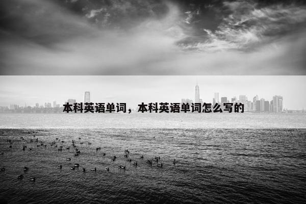 本科英语单词，本科英语单词怎么写的