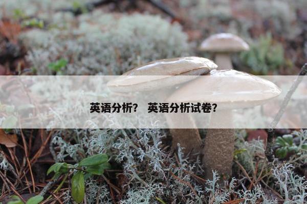 英语分析？ 英语分析试卷？