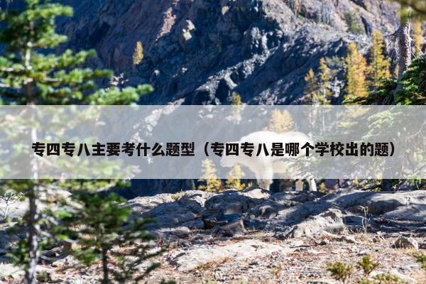 专四专八主要考什么题型（专四专八是哪个学校出的题）