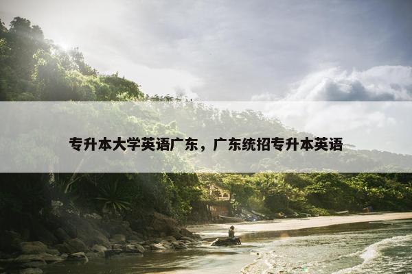 专升本大学英语广东，广东统招专升本英语