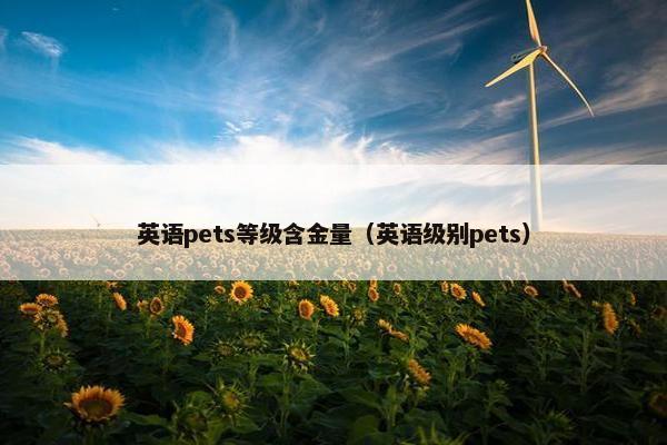 英语pets等级含金量（英语级别pets）
