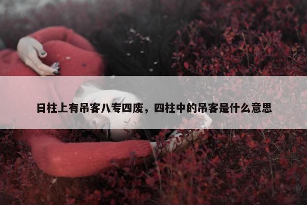 日柱上有吊客八专四废，四柱中的吊客是什么意思