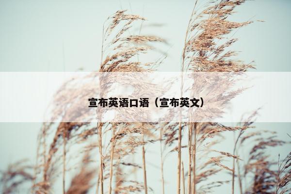 宣布英语口语（宣布英文）