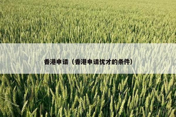 香港申请（香港申请优才的条件）