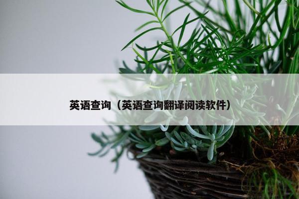 英语查询（英语查询翻译阅读软件）