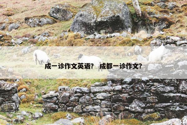 成一诊作文英语？ 成都一诊作文？