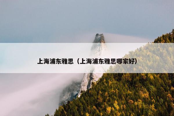 上海浦东雅思（上海浦东雅思哪家好）