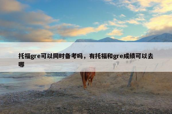托福gre可以同时备考吗，有托福和gre成绩可以去哪