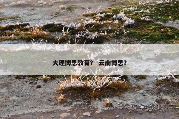 大理博思教育？ 云南博思？
