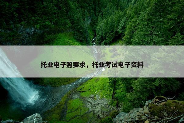 托业电子照要求，托业考试电子资料
