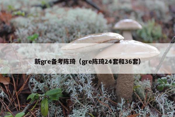 新gre备考陈琦（gre陈琦24套和36套）