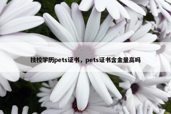 技校学历pets证书，pets证书含金量高吗