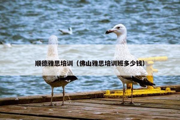 顺德雅思培训（佛山雅思培训班多少钱）