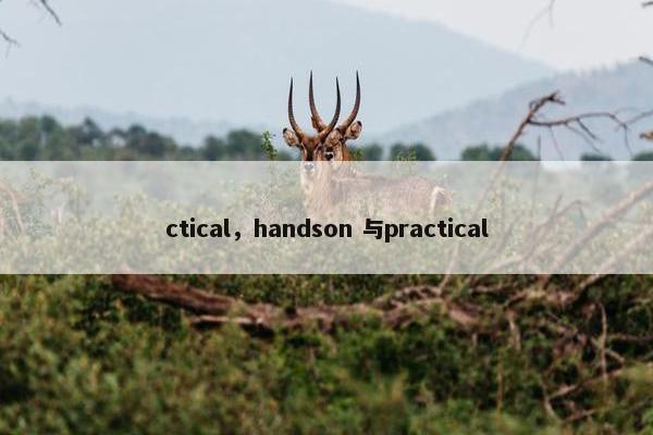 ctical，handson 与practical