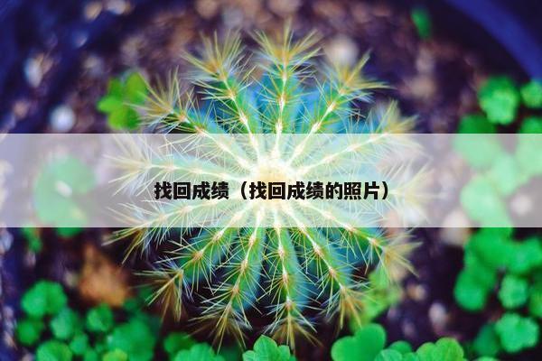找回成绩（找回成绩的照片）