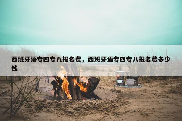 西班牙语专四专八报名费，西班牙语专四专八报名费多少钱