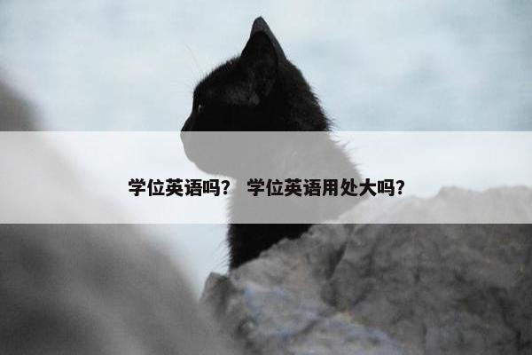 学位英语吗？ 学位英语用处大吗？