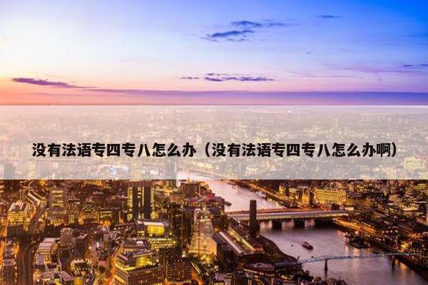 没有法语专四专八怎么办（没有法语专四专八怎么办啊）