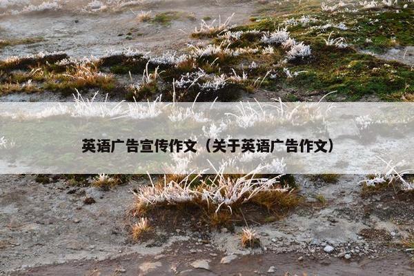 英语广告宣传作文（关于英语广告作文）