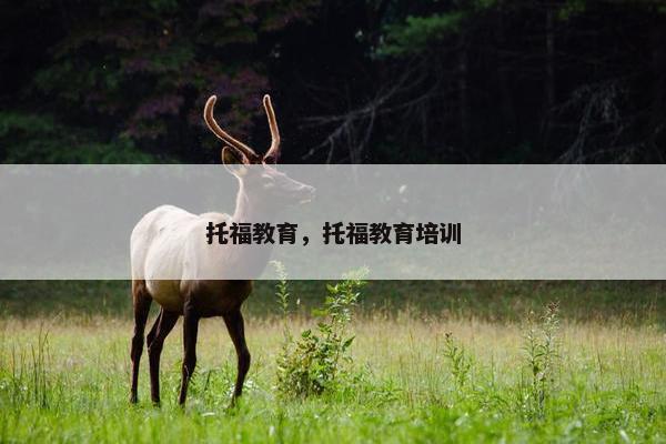 托福教育，托福教育培训