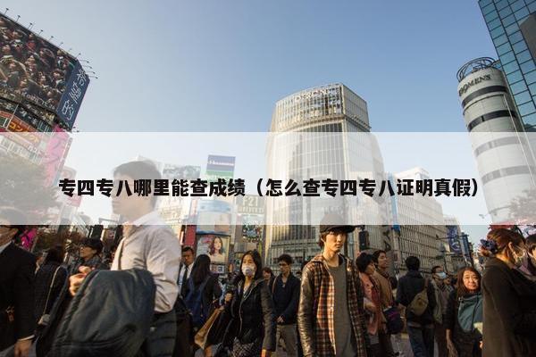 专四专八哪里能查成绩（怎么查专四专八证明真假）