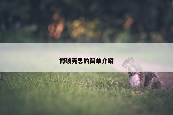 博破壳思的简单介绍