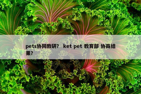pets协同教研？ ket pet 教育部 协商结果？