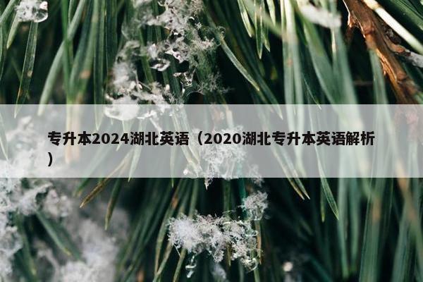 专升本2024湖北英语（2020湖北专升本英语解析）