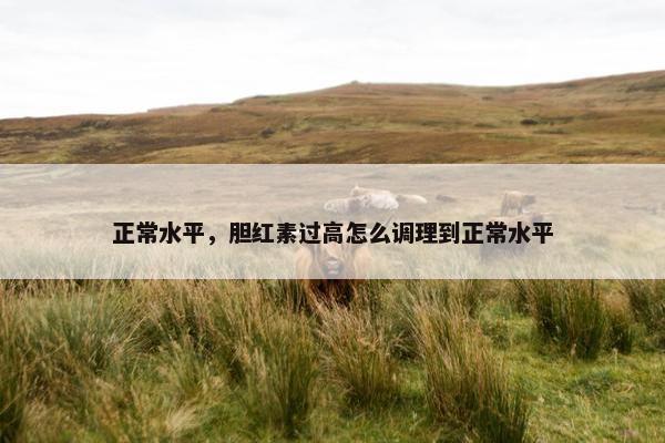 正常水平，胆红素过高怎么调理到正常水平