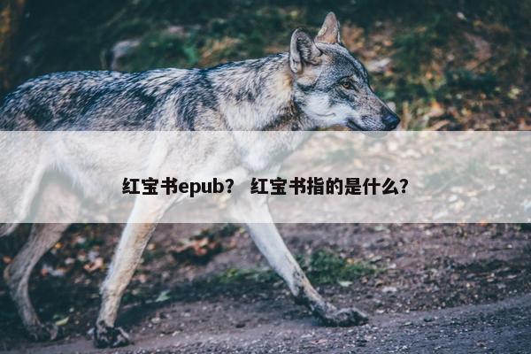 红宝书epub？ 红宝书指的是什么？