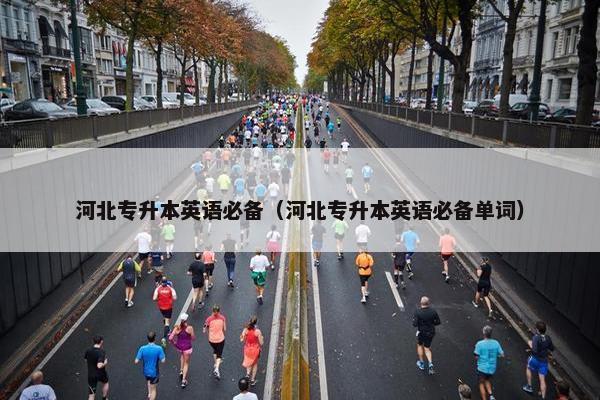 河北专升本英语必备（河北专升本英语必备单词）