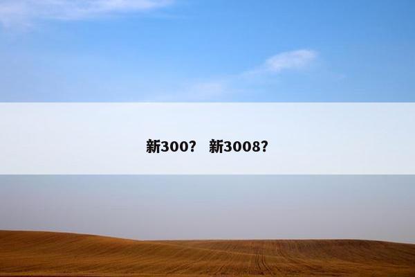 新300？ 新3008？