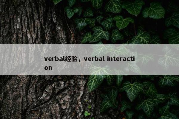 verbal经验，verbal interaction