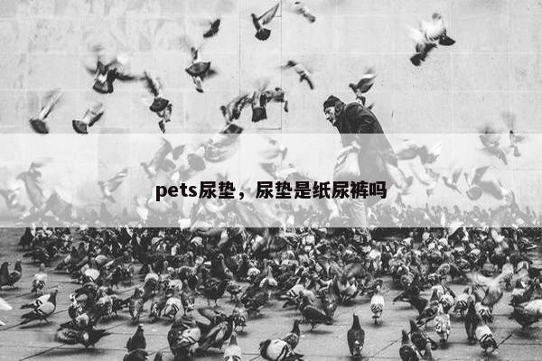pets尿垫，尿垫是纸尿裤吗