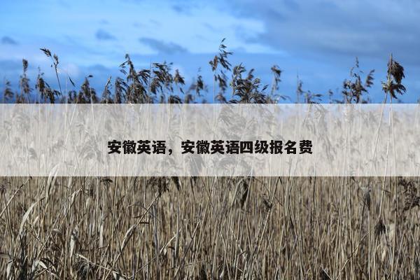 安徽英语，安徽英语四级报名费