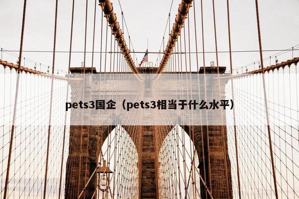 pets3国企（pets3相当于什么水平）