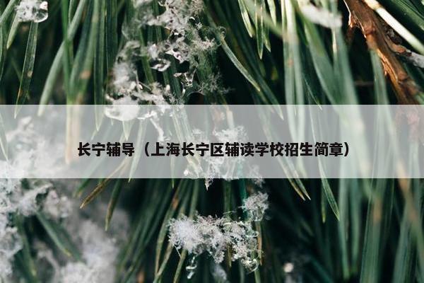 长宁辅导（上海长宁区辅读学校招生简章）