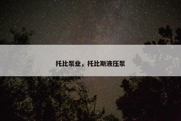 托比泵业，托比斯液压泵