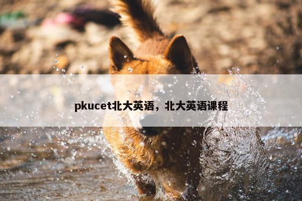 pkucet北大英语，北大英语课程