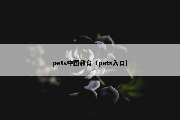 pets中国教育（pets入口）