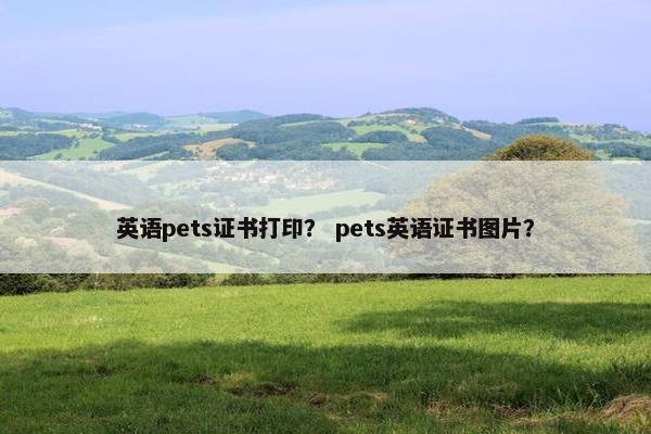 英语pets证书打印？ pets英语证书图片？