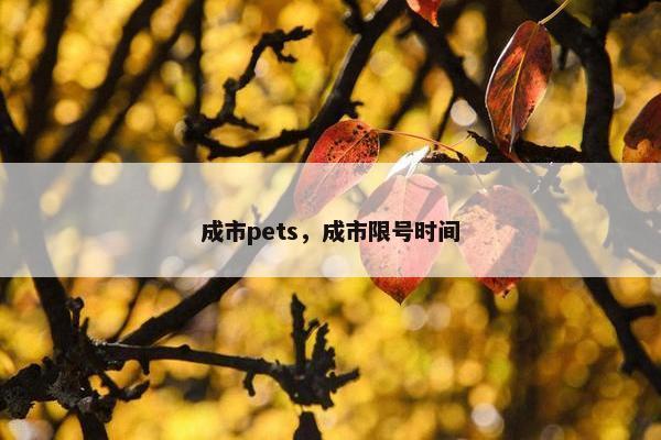 成市pets，成市限号时间