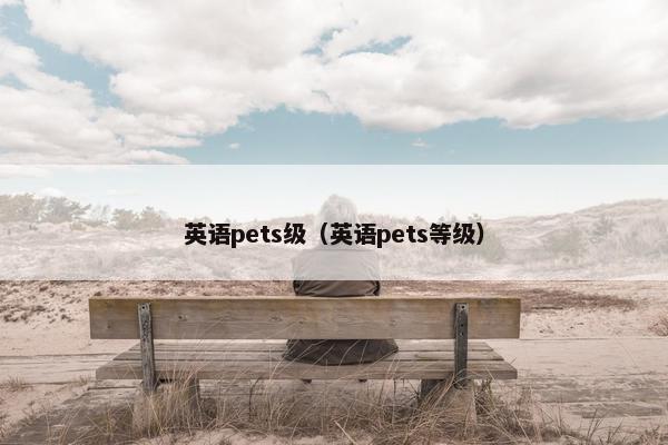 英语pets级（英语pets等级）