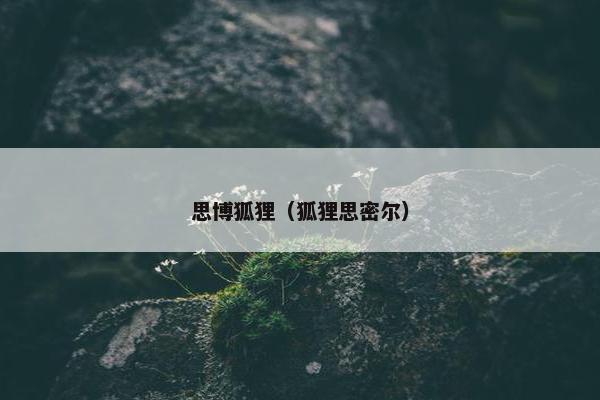 思博狐狸（狐狸思密尔）