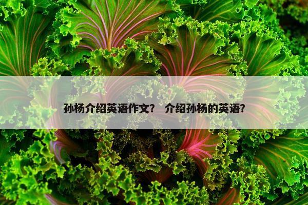 孙杨介绍英语作文？ 介绍孙杨的英语？