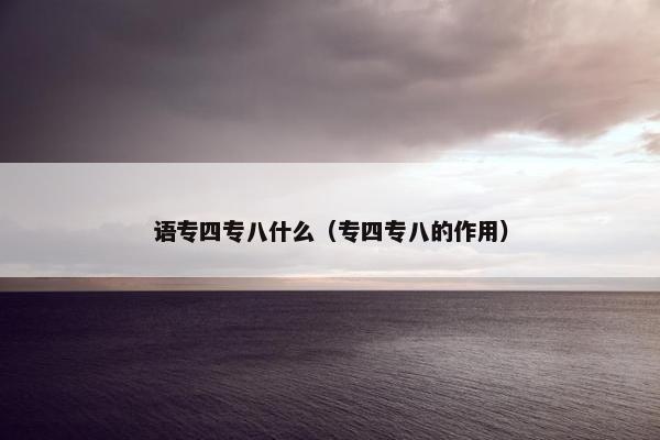 语专四专八什么（专四专八的作用）